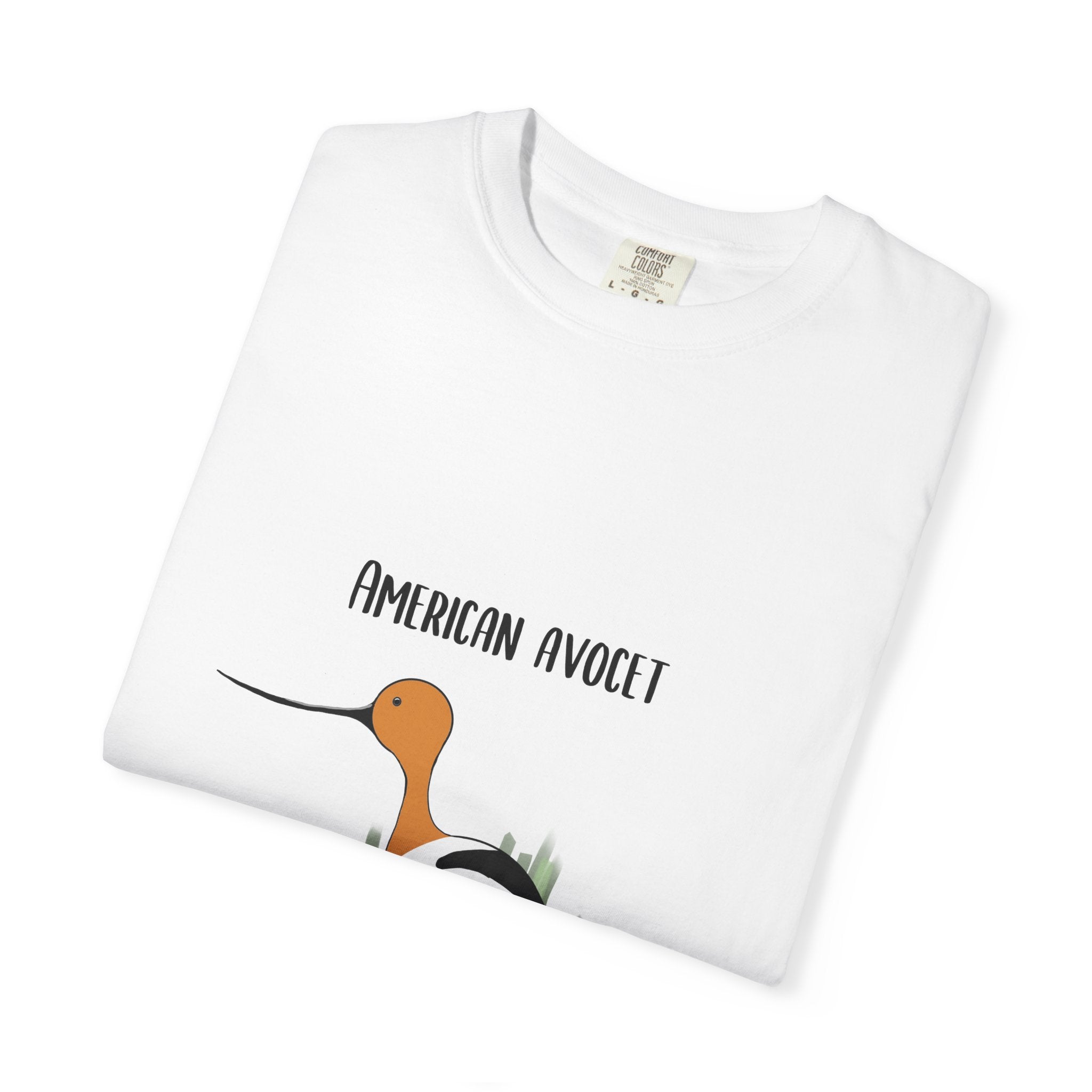American Avocet Bird T-Shirt — Graphic Shorebird Nature Tee