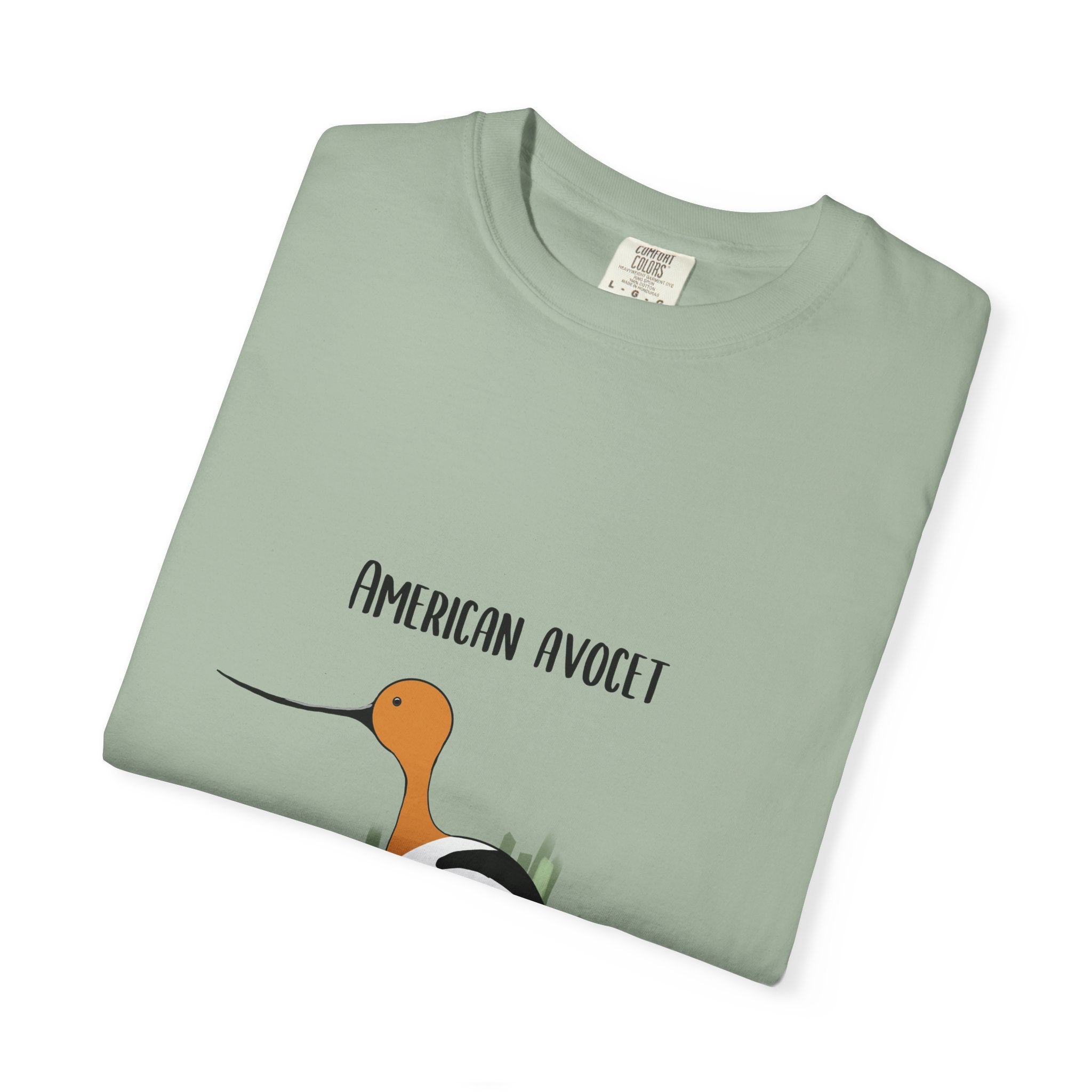 American Avocet Bird T-Shirt — Graphic Shorebird Nature Tee