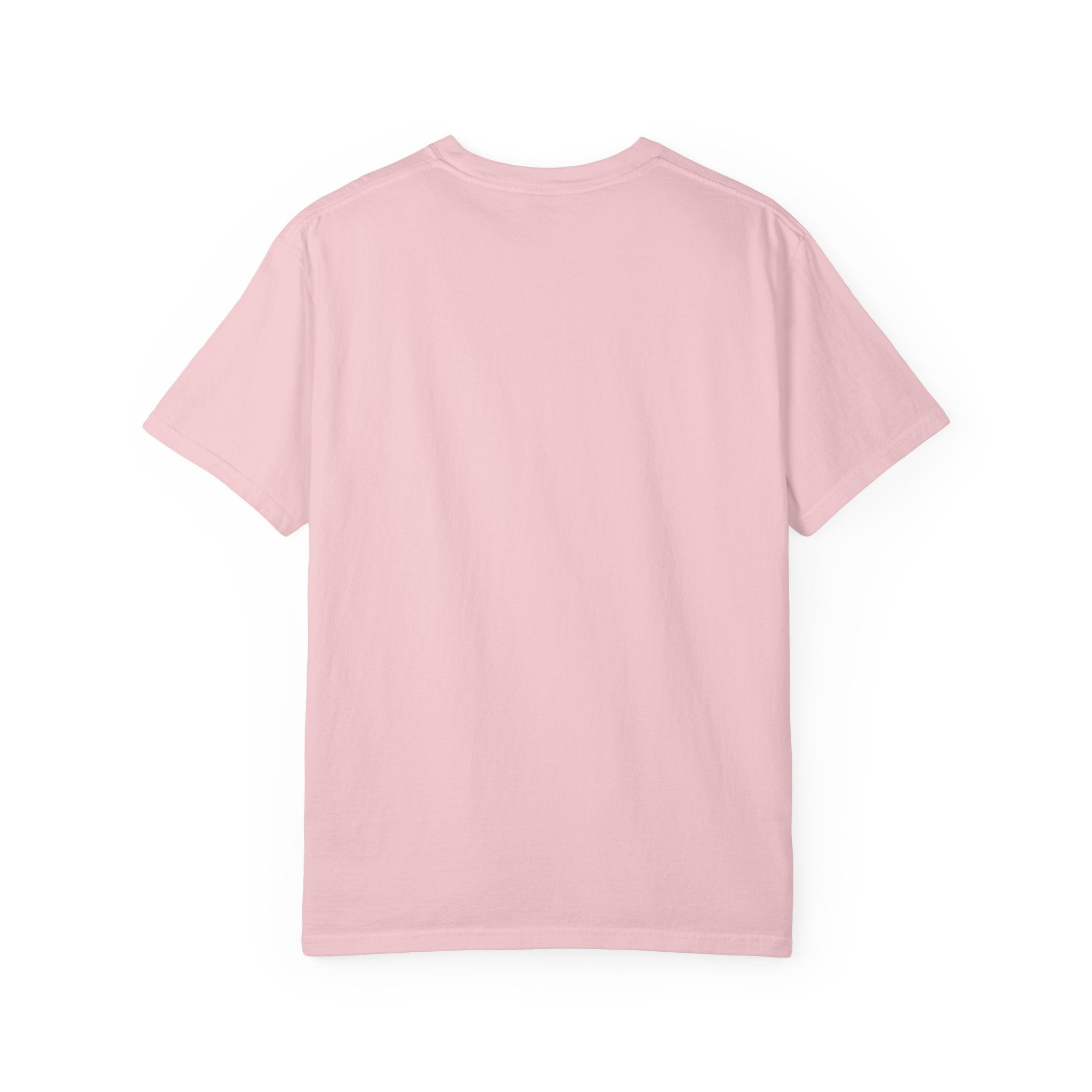 Oystercatcher Bird T-Shirt — American Oystercatcher Graphic Tee