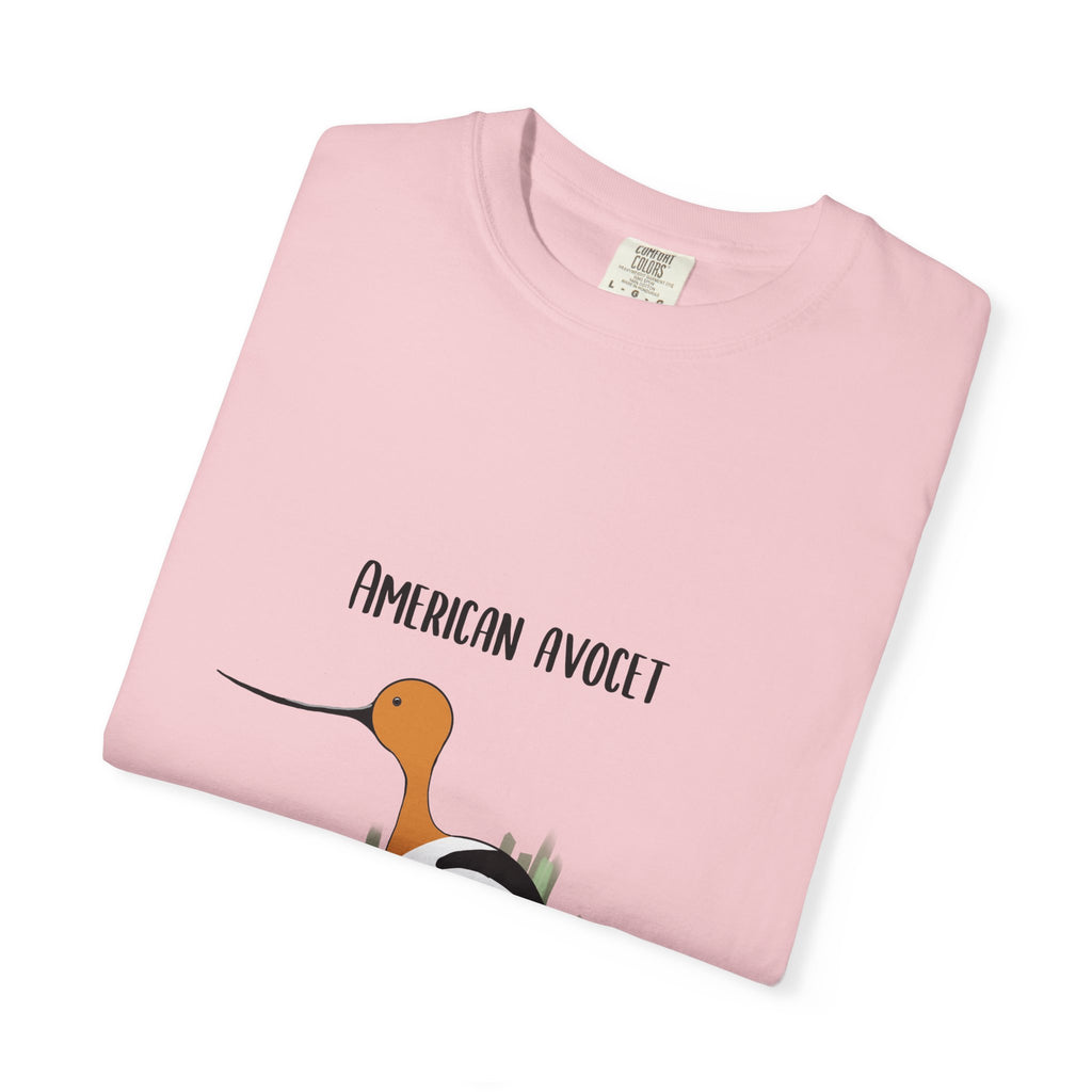 American Avocet Bird T-Shirt — Graphic Shorebird Nature Tee