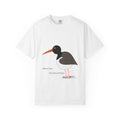 Oystercatcher Bird T-Shirt — American Oystercatcher Graphic Tee